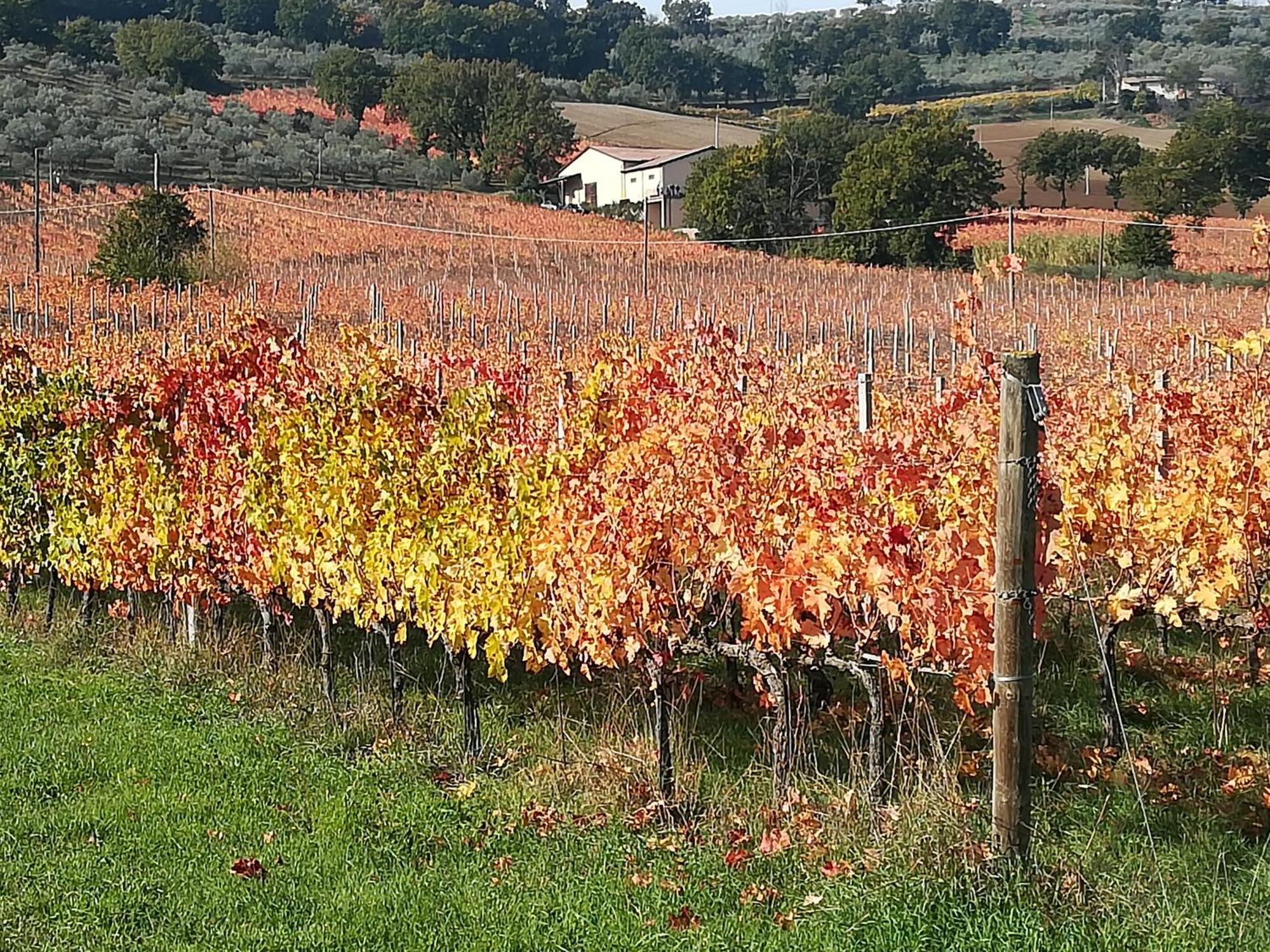 Antico Gioiello Umbro , Appartamento Con Terrazza Foligno Exterior foto