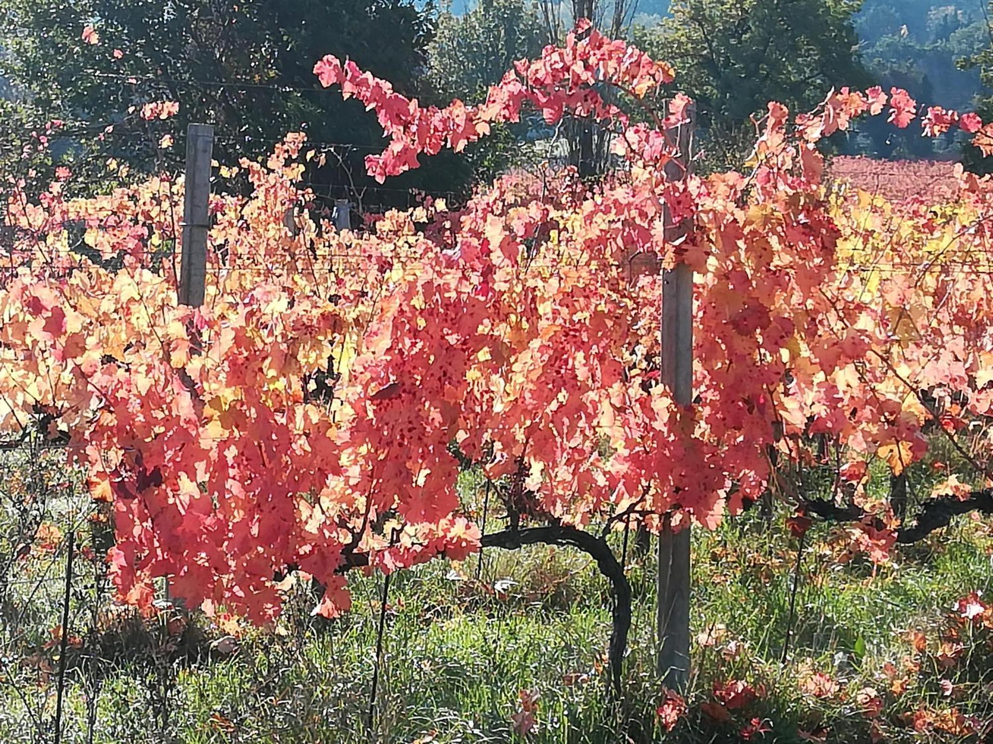 Antico Gioiello Umbro , Appartamento Con Terrazza Foligno Exterior foto